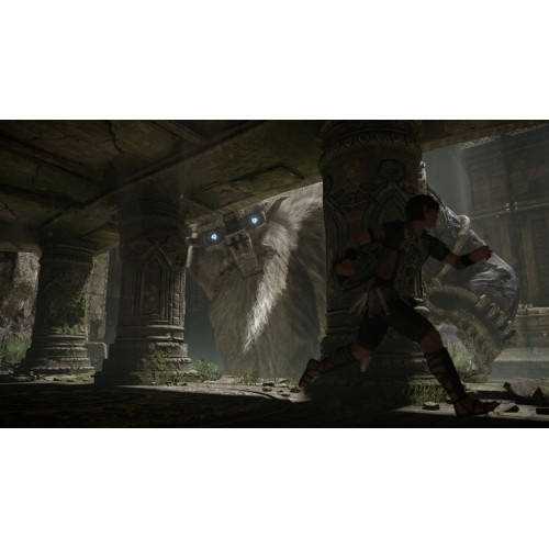 Shadow of the Colossus [PS4]